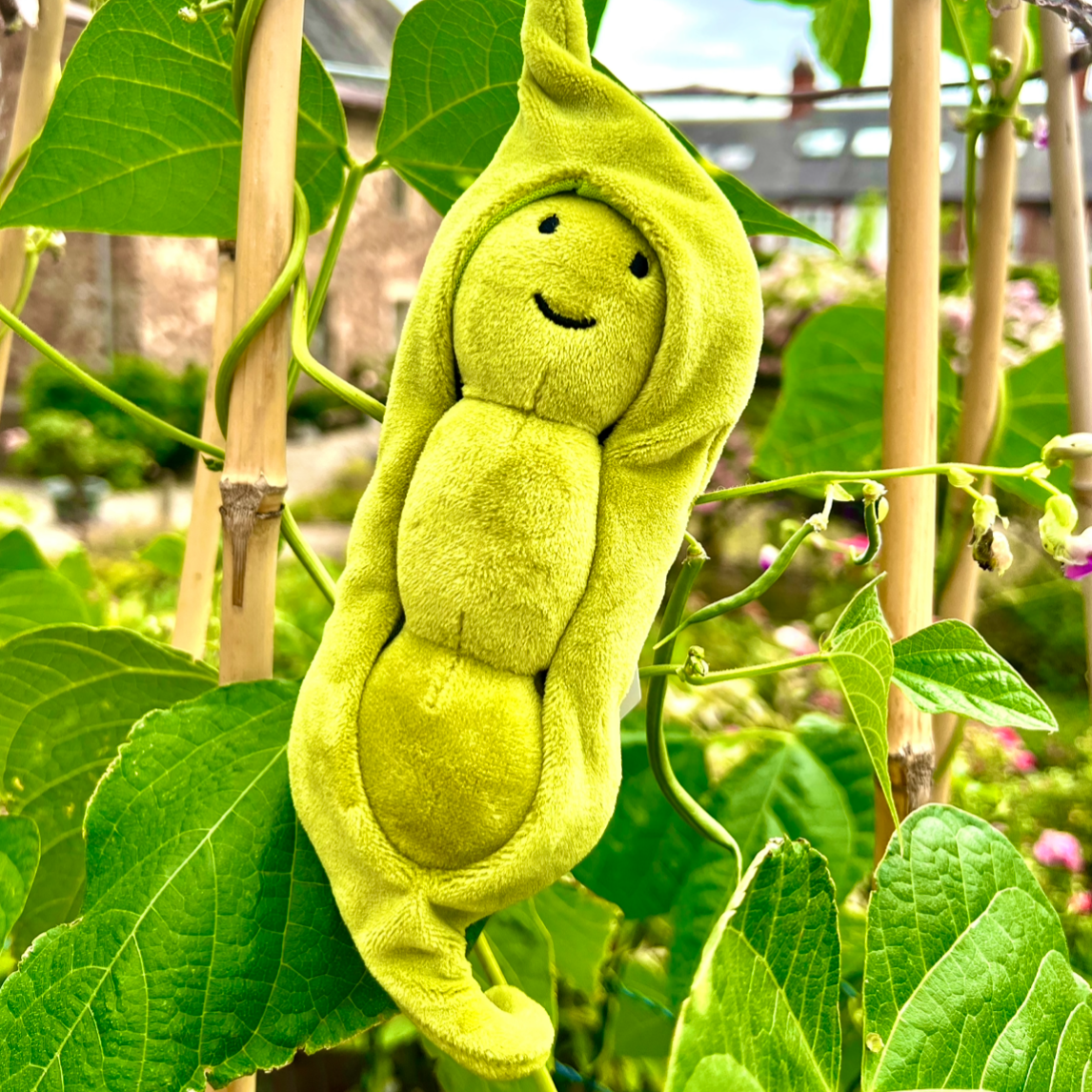 JellyCat Vivacious Vegetable Pea