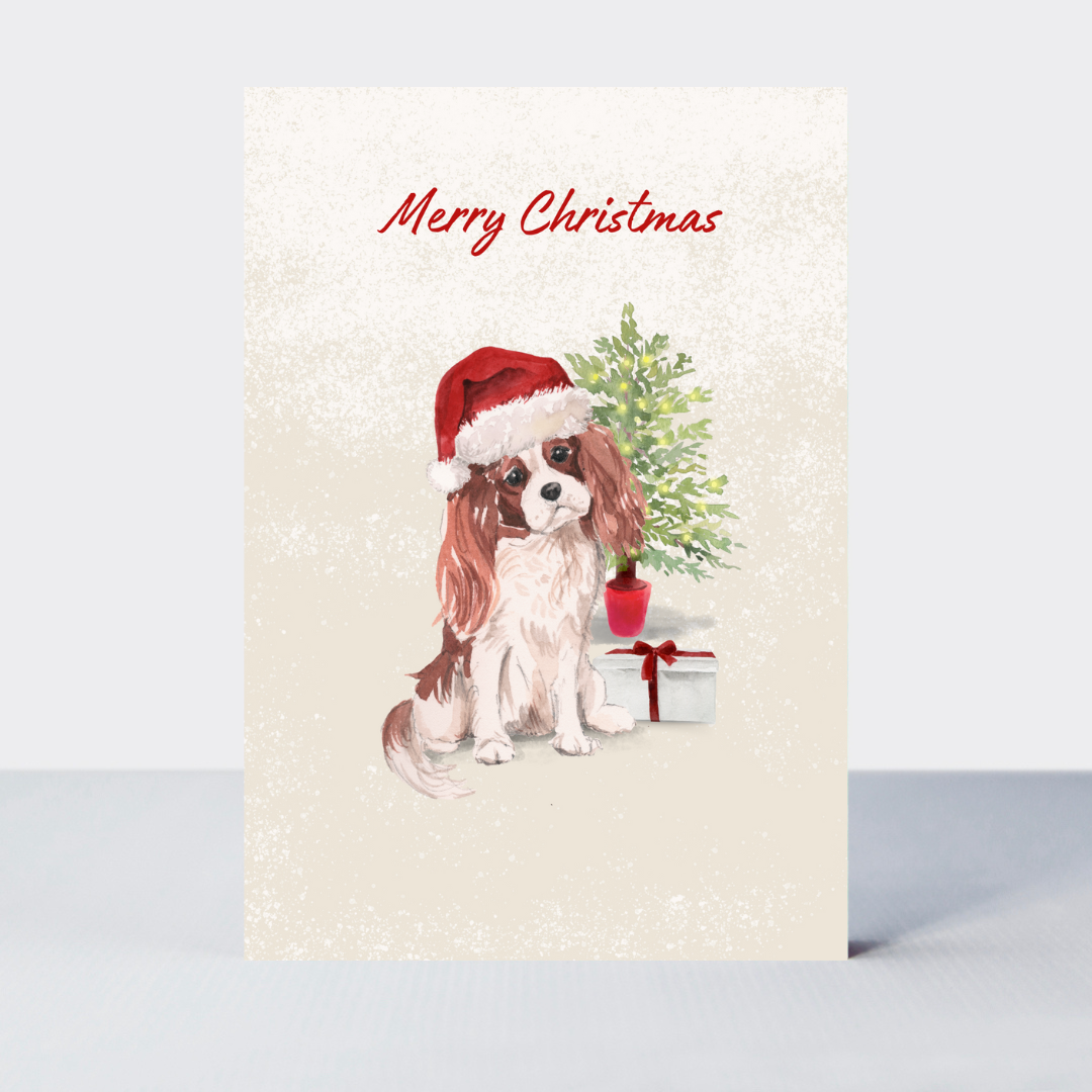 Pawfect Christmas Spaniel Card